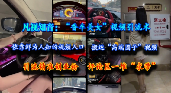 凡视知音:“香车美女”视频引流术,依靠鲜为人知的视频入口,搬运“高端圈子”视频,引流精准创业粉,评论区一堆“求带”-大米网创