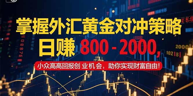 掌握外汇黄金对冲策略,日赚 800 – 2000,小众高回报创业机会,助你实…-大米网创