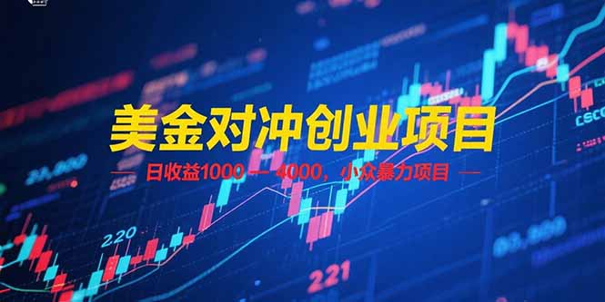 美金对冲创业项目，日收益 1000 – 4000，小众暴力项目-大米网创