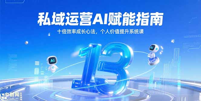 私域运营AI赋能指南,十倍效率成长心法,个人价值提升系统课-大米网创