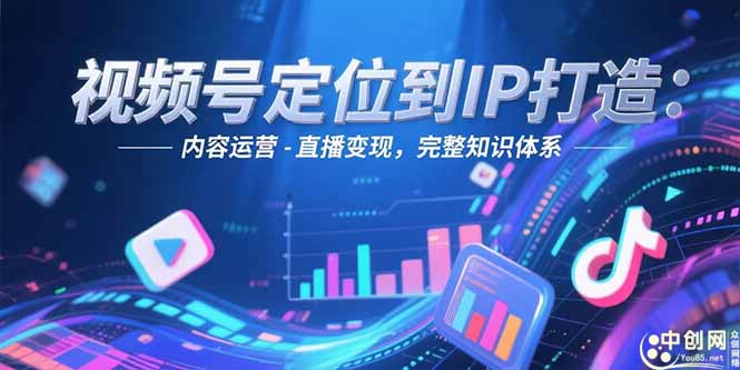 视频号定位到IP打造：账号搭建-内容运营-直播变现，完整知识体系-大米网创