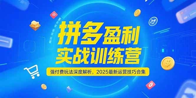 拼多多盈利实战训练营,强付费玩法深度解析,2025最新运营技巧合集-大米网创