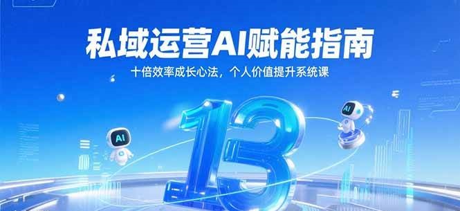 私域运营AI赋能指南,十倍效率成长心法,个人价值提升系统课-大米网创