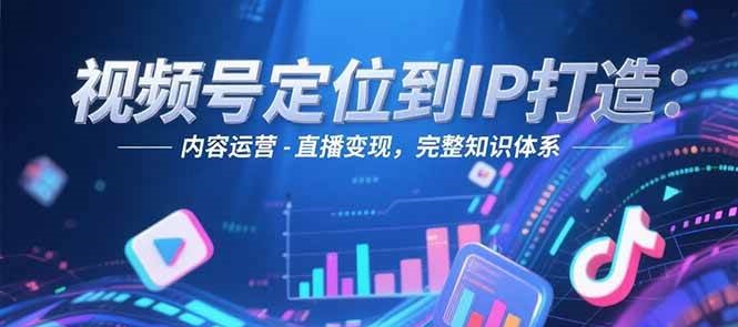 视频号定位到IP打造:账号搭建-内容运营-直播变现,完整知识体系-大米网创