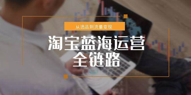 淘宝蓝海运营全链路，从选品到流量变现，小类目突围完整方案-大米网创