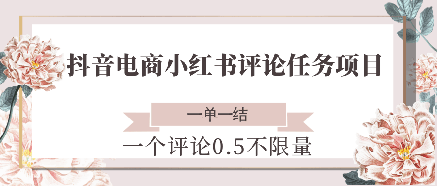 抖音电商小红书评论任务项目，一个评论0.5，一单一结 不限量-大米网创