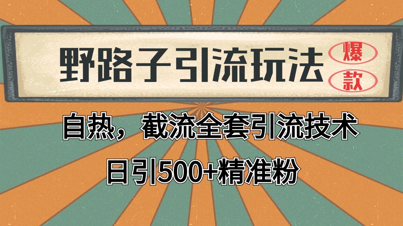 2024首发野路子引流玩法截流自热全平台打法，全自动引流【日引2000+精准客户】-大米网创