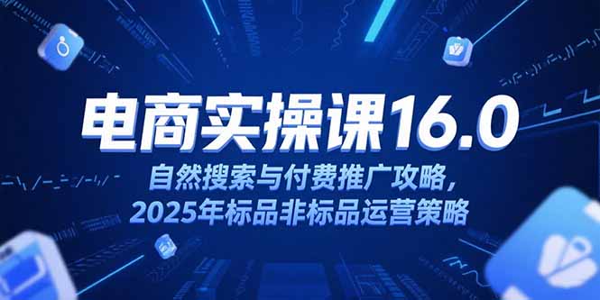 淘宝电商运营课16.0，自然搜索与付费推广攻略，2025年标品非标品运营策略-大米网创