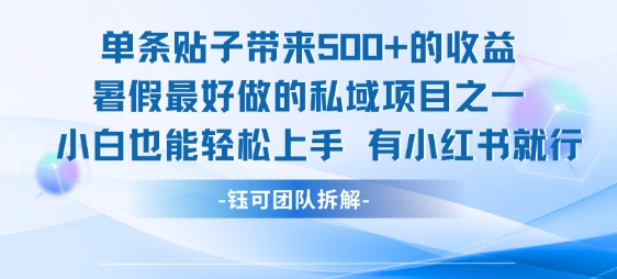 单条贴子带来5张的收益,暑假最好做的私域项目之一,小白也能轻松上手,有小红书就行-大米网创