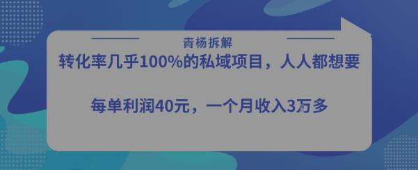转化率最高的私域项目,每单利润40-50米,月入过1w-大米网创