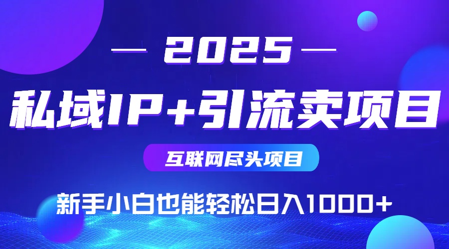 2025网创尽头项目,私域IP+引流,新手小白也能在家日入1000+-大米网创