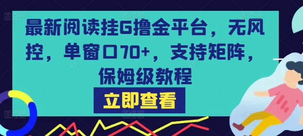 最新阅读挂G撸金平台,无风控,单窗口70+,支持矩阵,保姆级教程-大米网创