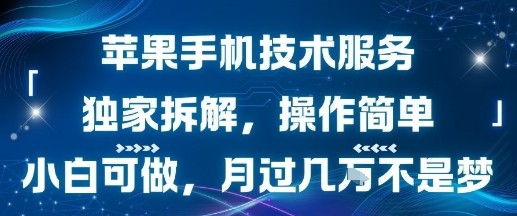 苹果手机技术服务,独家拆解,操作简单,小白可做,月过1W不是梦-大米网创