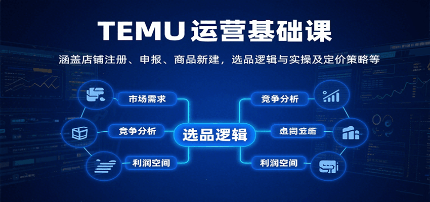 TEMU运营基础课：涵盖店铺注册、申报、商品新建，选品逻辑与实操及定价策略等-大米网创