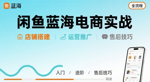 闲鱼蓝海电商实战，店铺搭建运营售后全流程-大米网创