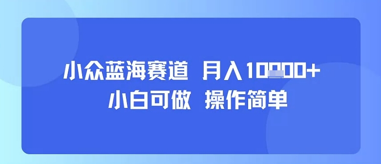 小众蓝海赛道，小白可做，操作简单，每天30分钟，月入1W+-大米网创