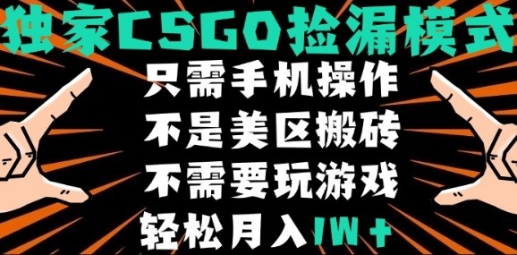 CSGO自动捡漏项目,最新独家玩法,不是美区搬砖,不需要了解和玩游戏,新手小白轻松月入1W+-大米网创