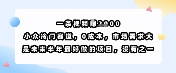 一条视频挣1k,小众冷门赛道,0成本,市场需求大,是未来半年最好做的项目,没有之一-大米网创