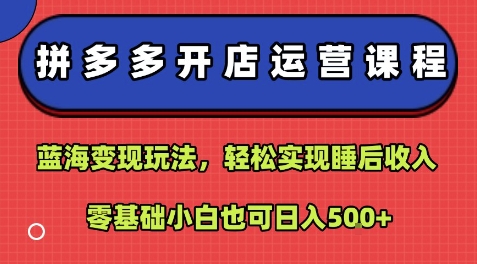 拼多多开店运营课程:蓝海变现玩法,轻松实现睡后收入,零基础小白也可日入5张-大米网创