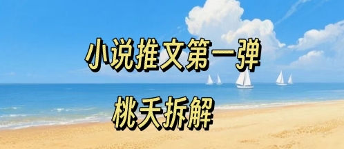 小说推文项目操作全流程第一弹,0粉就能做,门槛低非常适合新手-大米网创