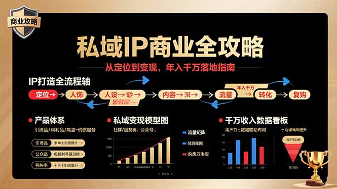 私域IP商业全攻略,从定位到变现,年入千万落地指南-大米网创