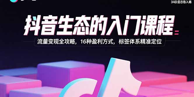 抖音生态的入门课程:流量变现全攻略,16种盈利方式,标签体系精准定位-大米网创