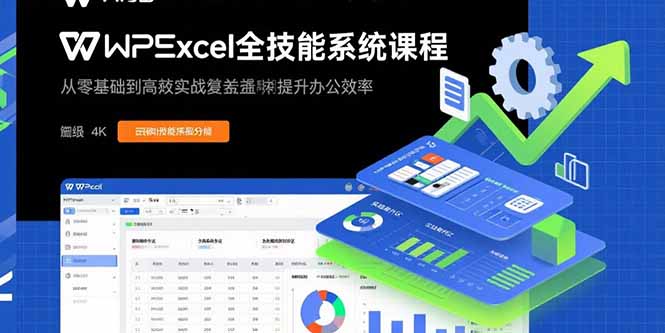WPS Excel全技能系统课程：从零基础到高阶实战全覆盖，全面提升办公效率-大米网创