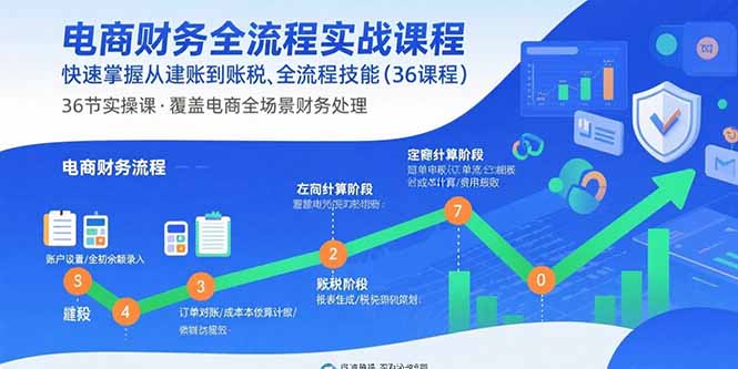 电商财务全流程实战课程:快速掌握从建账到报税的全流程技能(36节课)-大米网创