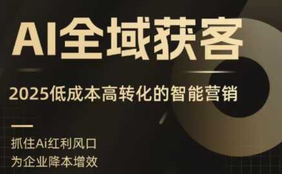 AI全域获客实训营，2025低成本高转化的智能营销，精准找客，高效营销-大米网创