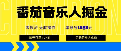 番茄音乐人掘金,单账号最高可撸1k+,可无限矩阵去做,零投入-大米网创