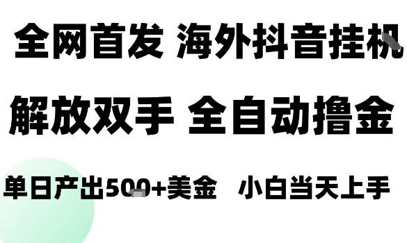 海外抖音无人直播,单日产出1.5k+,长期稳定,新手可玩,无脑操作-大米网创