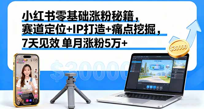 小红书零基础涨粉秘籍，赛道定位+IP打造+痛点挖掘，7天见效 单月涨粉5万+-大米网创