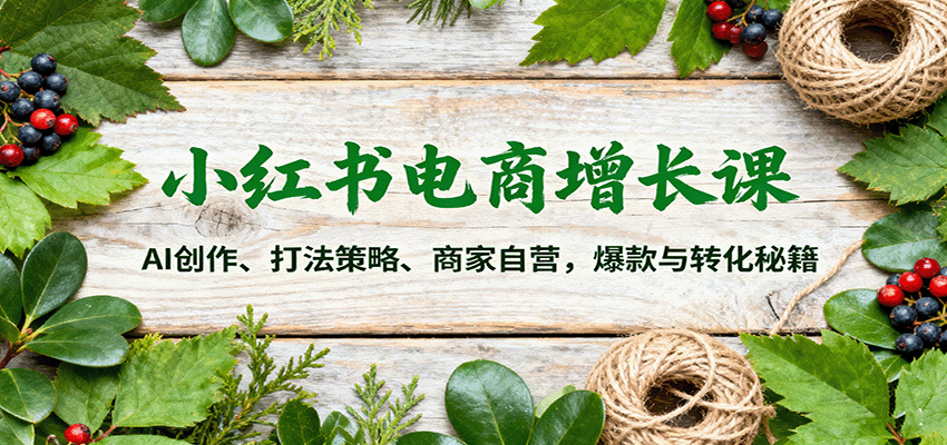 小红书电商增长课：AI创作、打法策略、商家自营，爆款与转化秘籍-大米网创