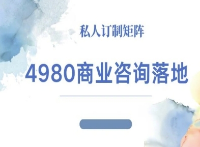 4980商业咨询师落地课程-ip运营高客单教程-大米网创