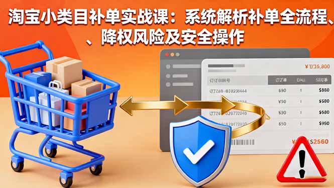 淘宝小类目补单实战课：系统解析补单全流程、降权风险及安全操作-大米网创