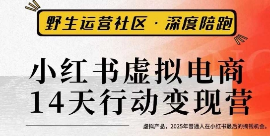小红书虚拟电商14天变现训练营3.0，​虚拟产品，2025年普通人在小红书最后的搞钱机会-大米网创