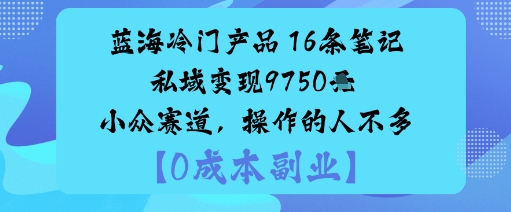 蓝海冷门产品:16条笔记私域变现9750米小众赛道,操作的人不多-大米网创