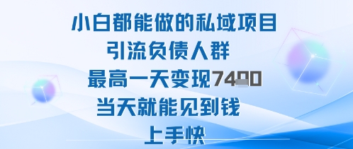 2025年小白都能做的私域项目引流负债人群最高一天变现1k+高变现难度低当天就能见到钱上手快-大米网创