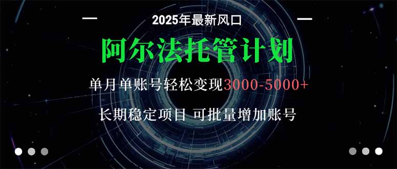 阿尔法托管计划 单账号月入3000-5000,长期稳定项目,新手小白轻松上手。-大米网创