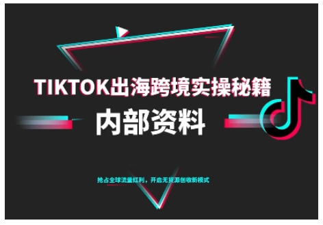 TikTok跨境电商0-1搭建运营,TK出海跨境实操秘籍(10月更新)-大米网创