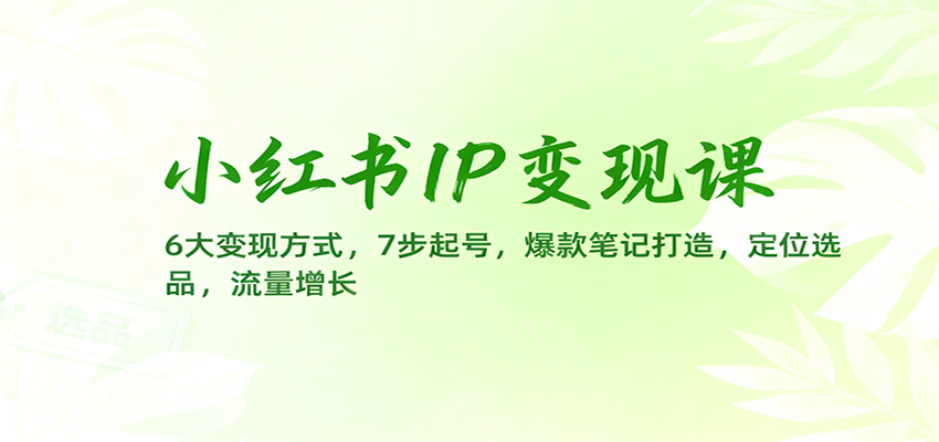 小红书IP变现课：6大变现方式，7步起号，爆款笔记打造，定位选品，流量增长-大米网创