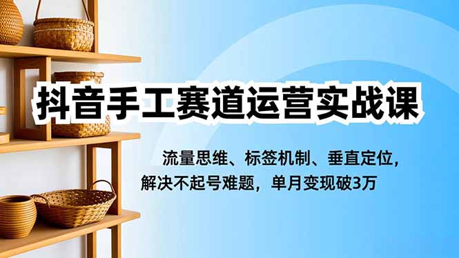 抖音手工赛道运营实战课，流量思维、标签机制、垂直定位，解决不起号难题，单月变现破3万-大米网创