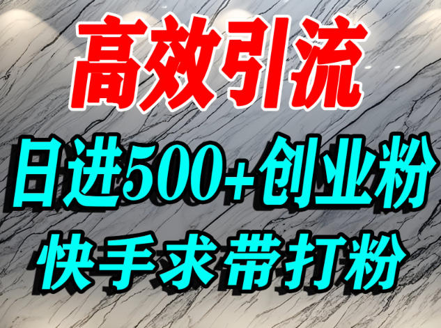 怎么打创业粉？快手求带视角精准引流创业粉，宝妈、学生群体日进500+精准流量-大米网创