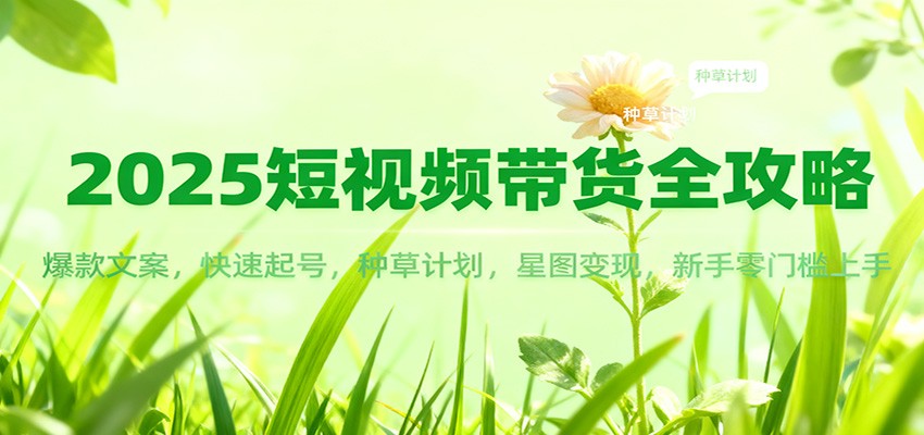 2025短视频带货全攻略：爆款文案，快速起号，种草计划，星图变现，新手零门槛上手-大米网创