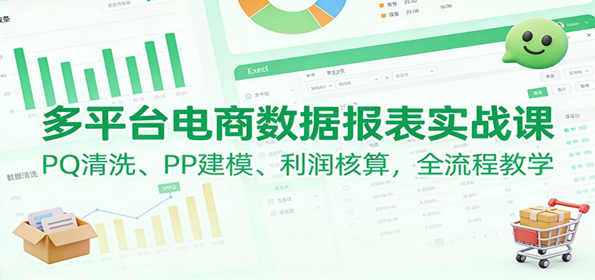 多平台电商数据报表实战课：PQ清洗、PP建模、 利润核算，全流程教学-大米网创
