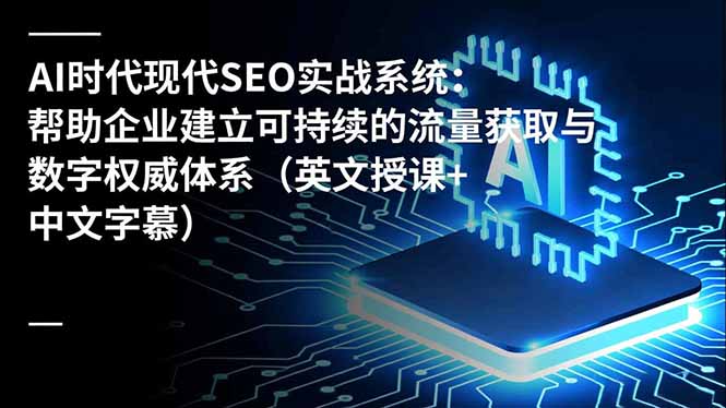 AI时代现代SEO实战系统：帮助企业建立可持续的流量获取与数字权威体系（英文授课+中文字幕）-大米网创