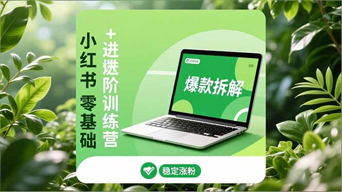 小红书零基础+高阶训练营:安全养号、爆款拆解、长效运营,实现稳定涨粉与变现-大米网创