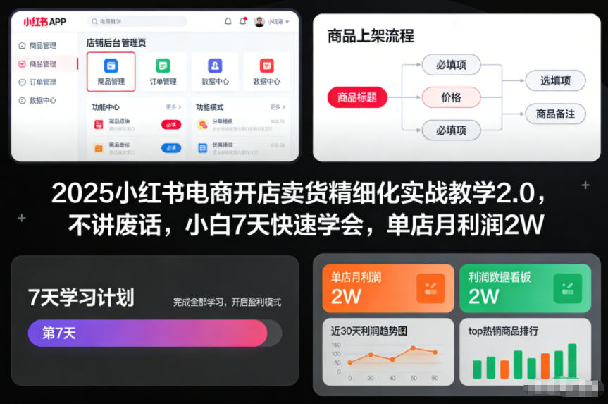 2025小红书电商开店卖货精细化实战教学2.0,不讲废话,小白7天快速学会,单店月利润2W-大米网创