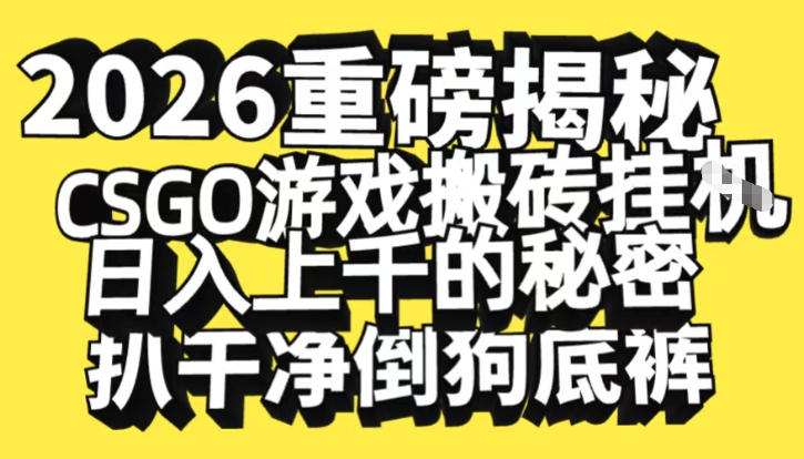 2026开年重磅解密，CSGO游戏搬砖挂G日入1k+的秘密，把倒狗的底裤扒干-大米网创