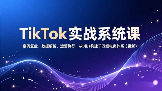 TikTok实战系统课，案例复盘、数据解析、运营执行，从0到1构建千万级电商体系（更新）-大米网创